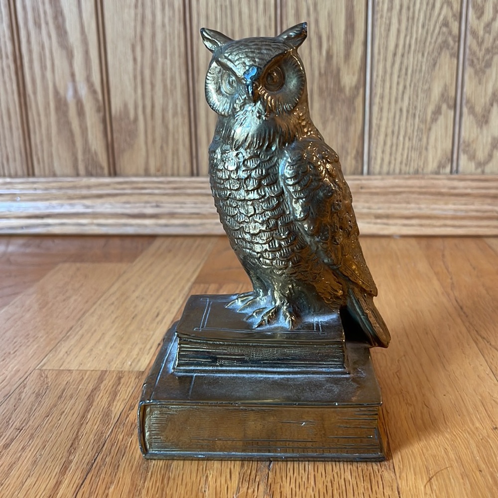 Owl on books